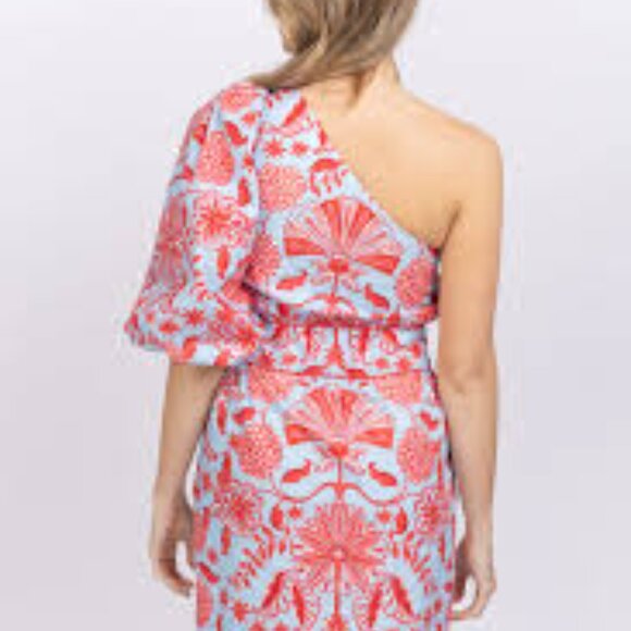 Cara Cara Dresses & Skirts - Cara Cara Danielle Dress Cherry One Shoulder Size 6